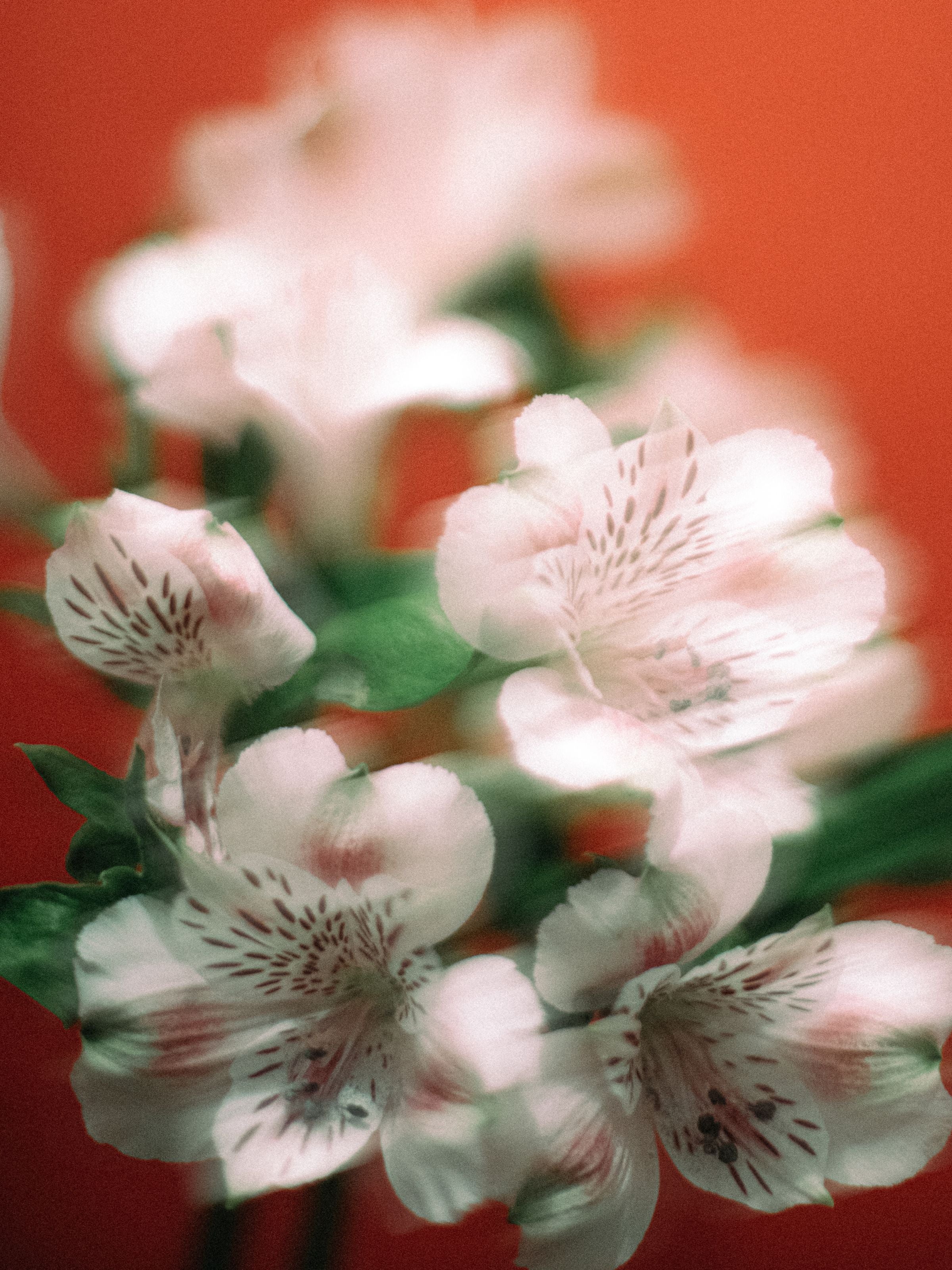 Commercial Accountability